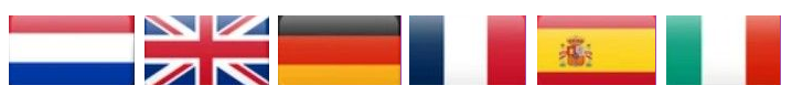 translate site